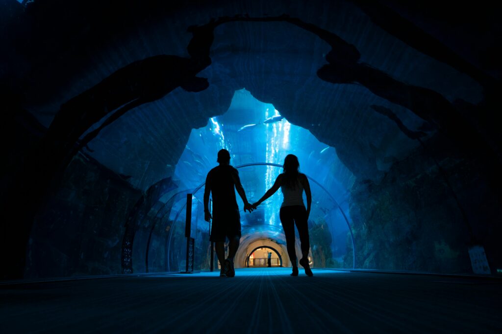 A couple holds hands while walking through an underwater aquarium tunnel, creating a romantic silhouette.