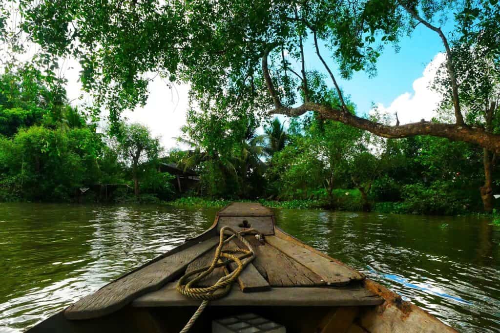 canoe, rope, wooden, bamboo, green, vietnam, landscape, sky, cloud, calm, alone, nature, mangrove, delta, mangrove, mangrove, mangrove, mangrove, mangrove