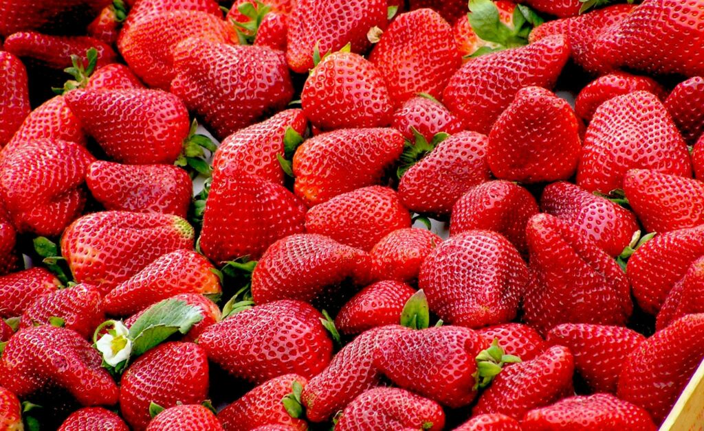 UK Strawberry 2025