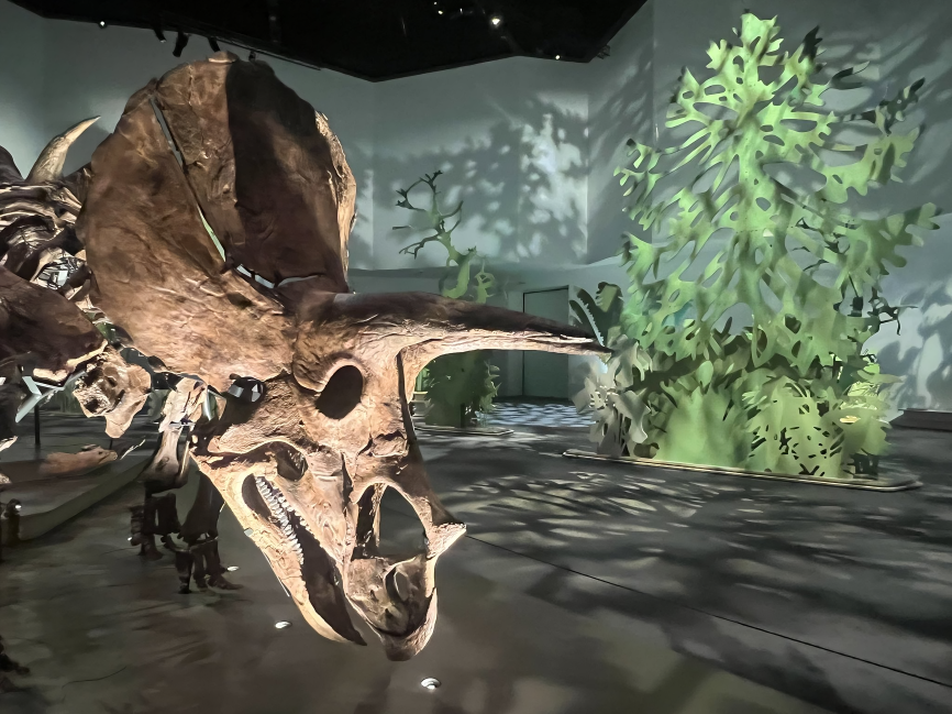 Natural History Museum Abu Dhabi opening on 22 November