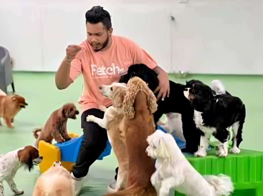 Fetch Dubai - top pet boarding places in Dubai