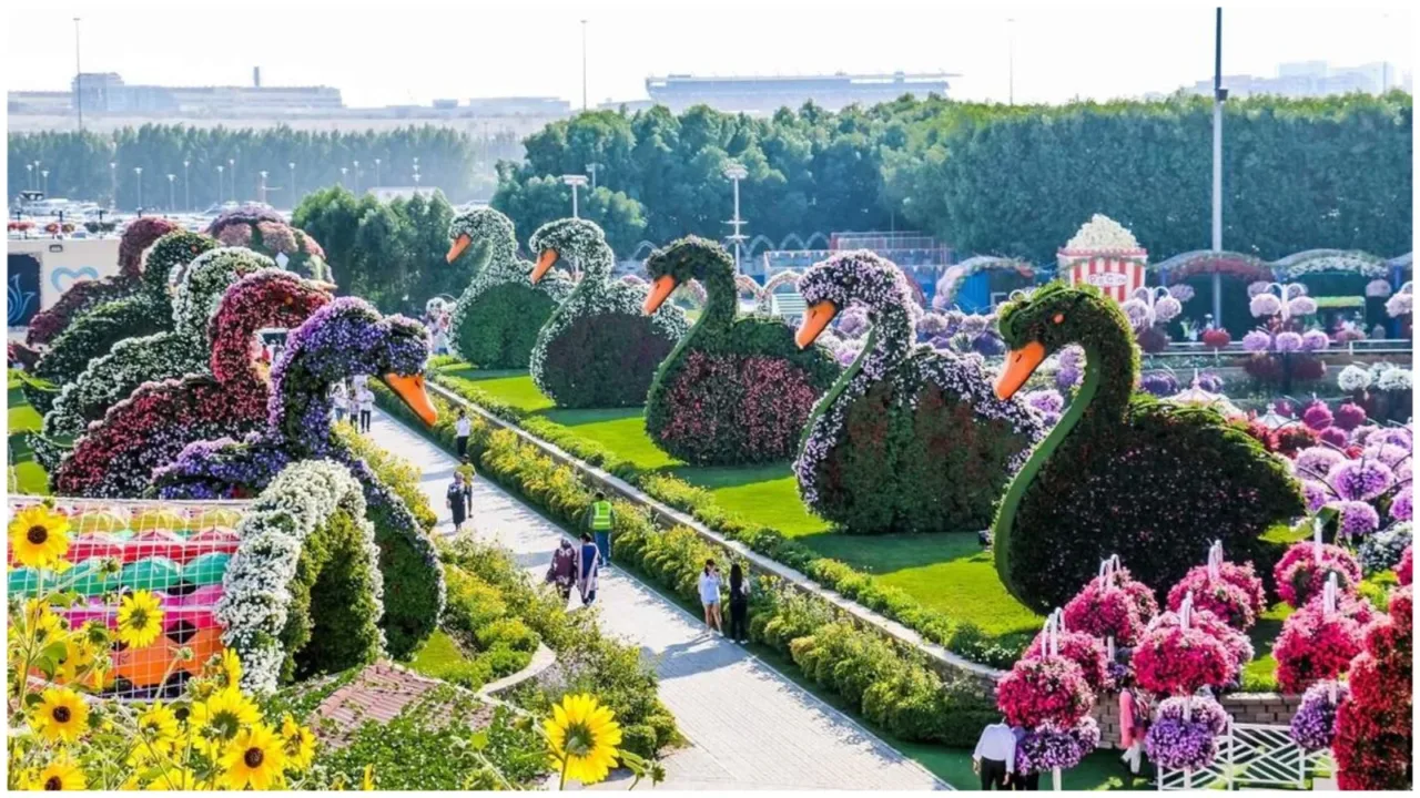 Dubai Miracle Garden free entry