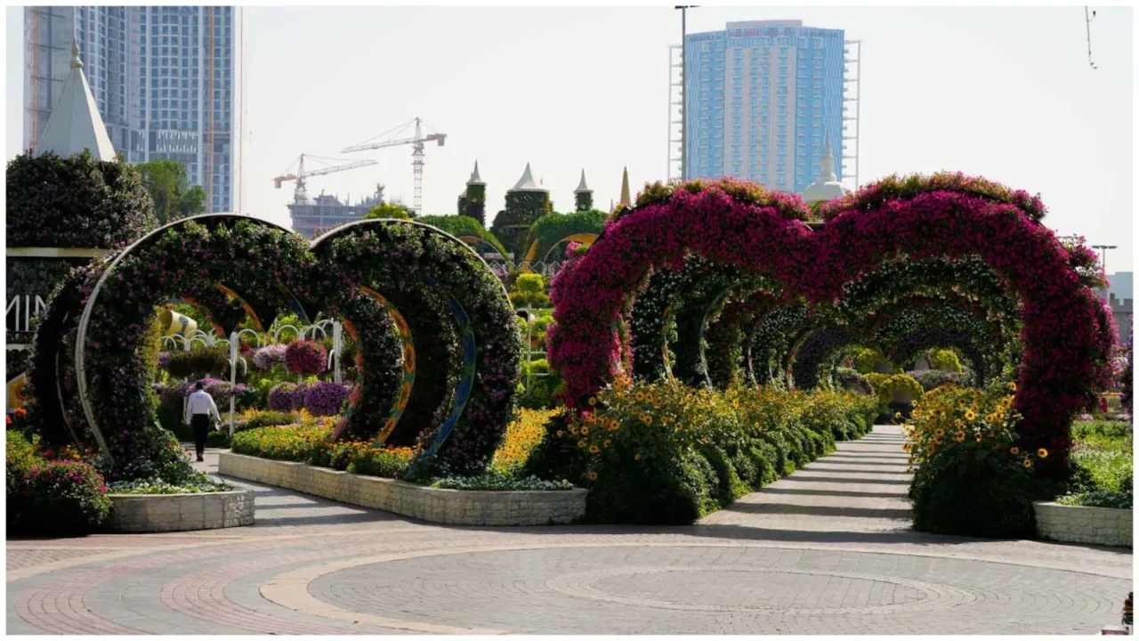 Dubai Miracle Garden free entry