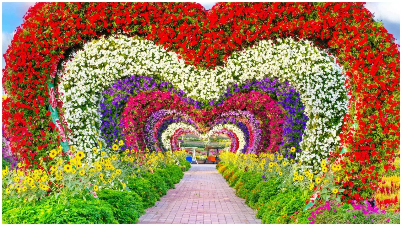 WhatsApp Image 2026-03-21 at 3.34.44 AM Dubai Miracle Garden ticket price update