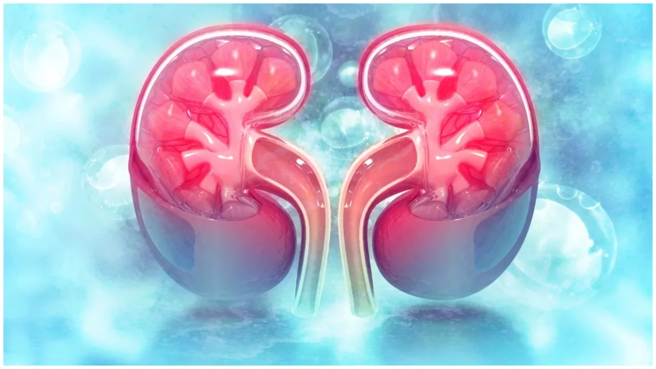 Flying Tiger Glasses