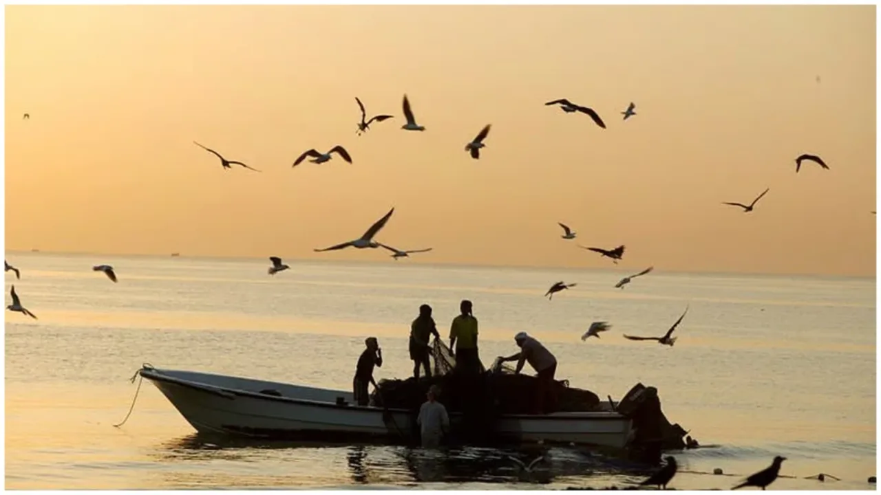 Etihad Rail 2026 launch