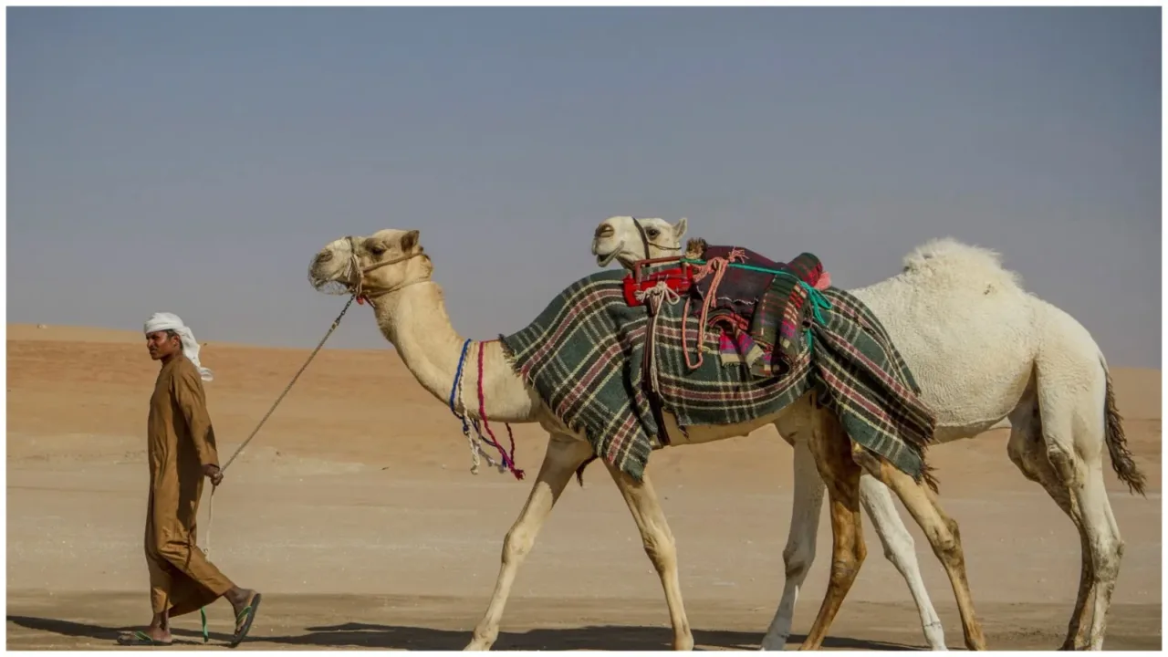 Etihad Rail 2026 launch