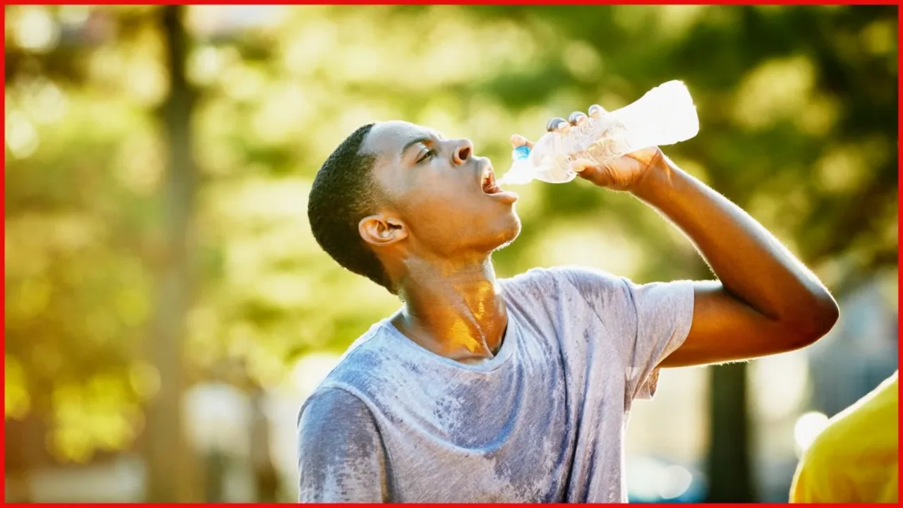 UAE health insurance services