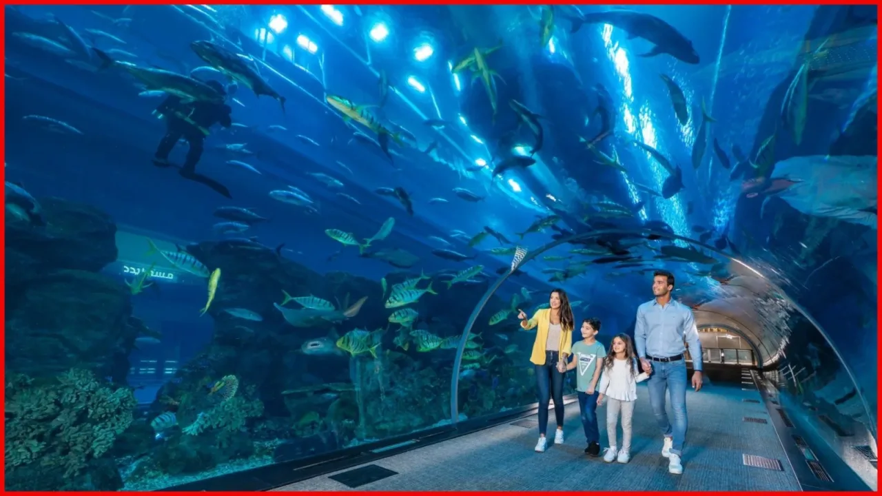 places to visit in UAE this summer