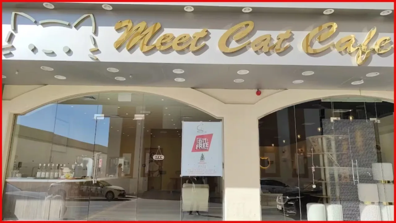 Dubai Super Guide for Kids Dubai Super Guide for Kids