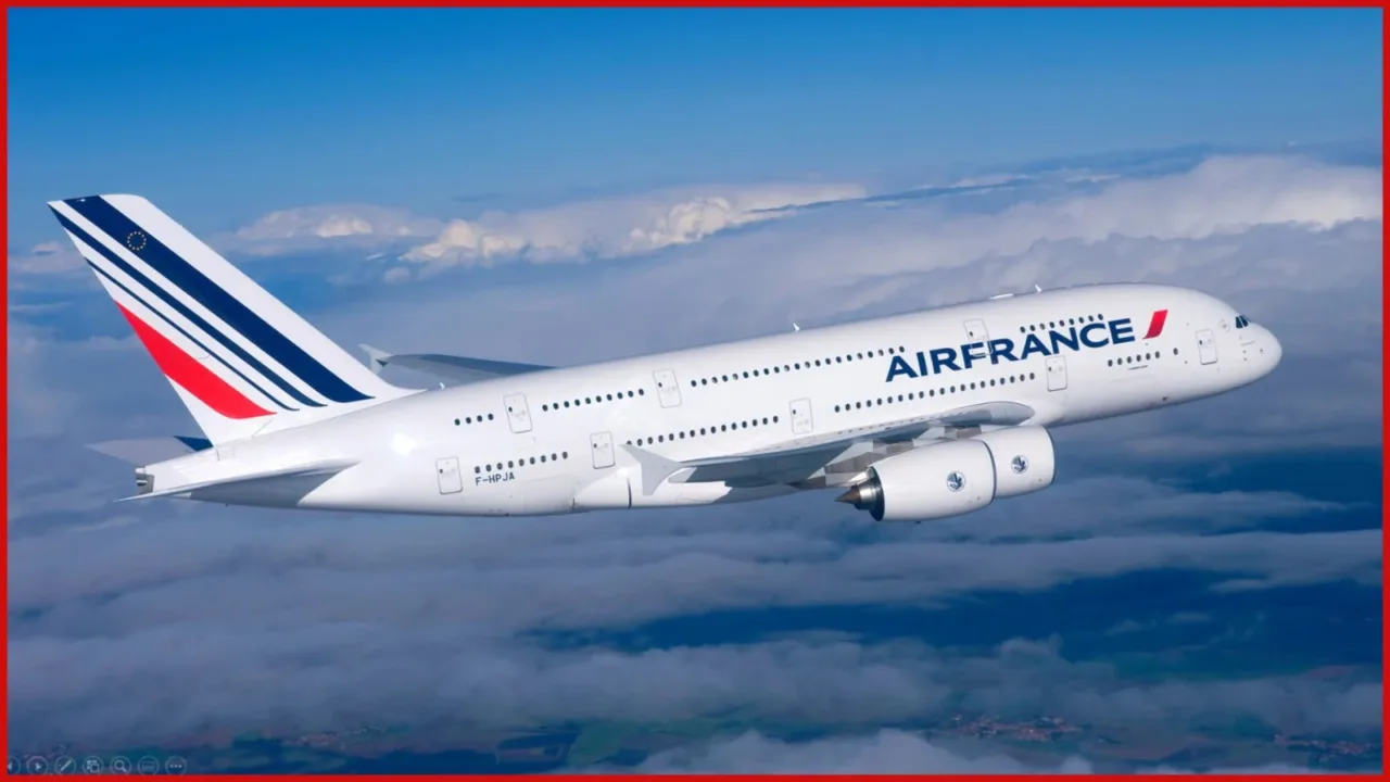 UAE flight suspensions update UAE flight suspensions update