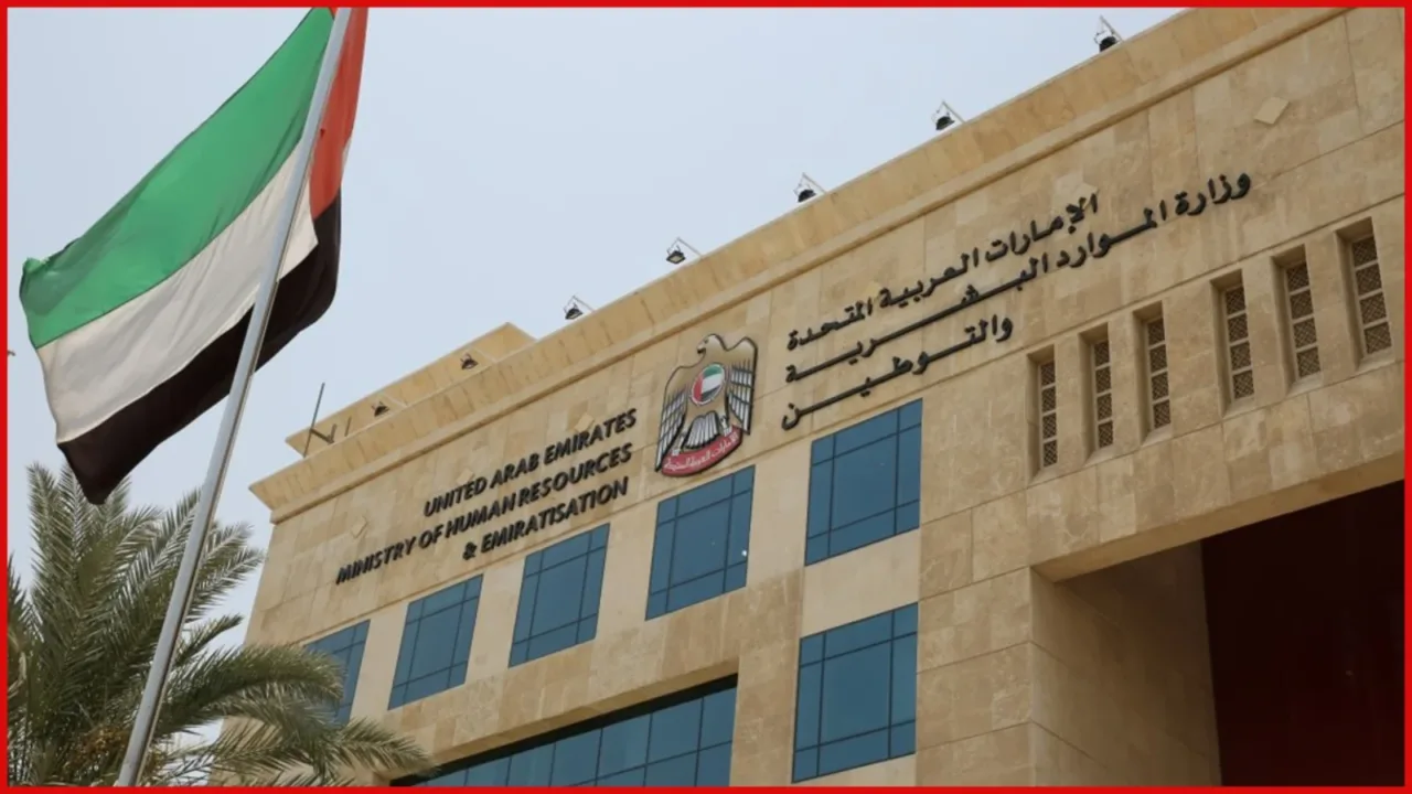 UAE domestic workers law UAE domestic workers law
