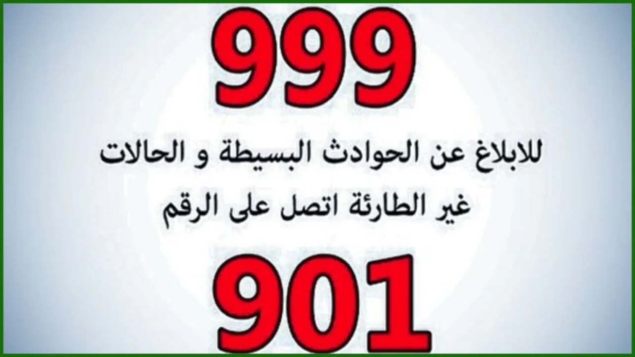sharjah police car theft recovery
