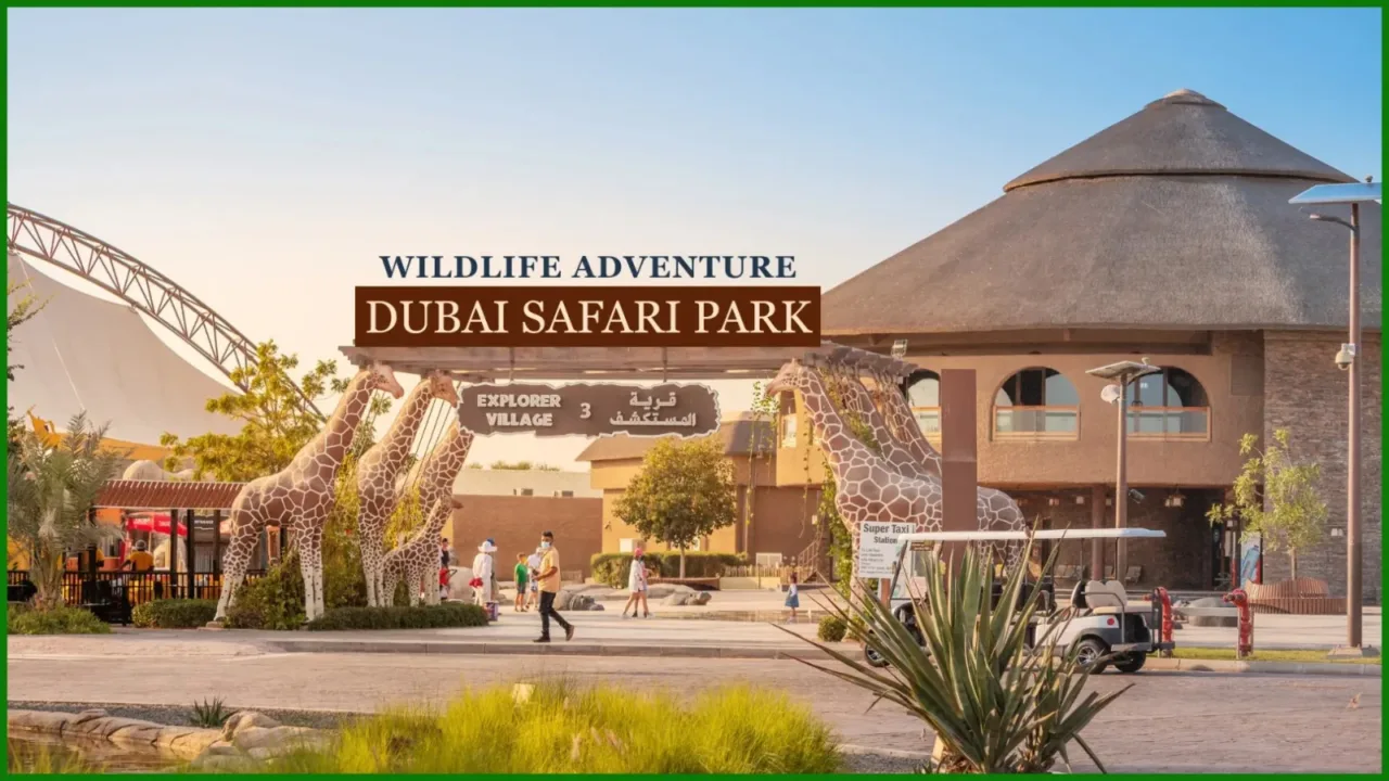 Dubai Safari Park 2026