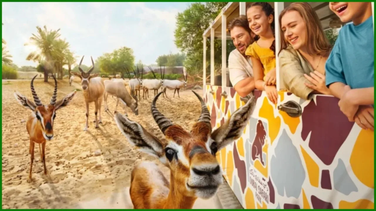 Dubai Safari Park 2026.webp Dubai Safari Park 2026